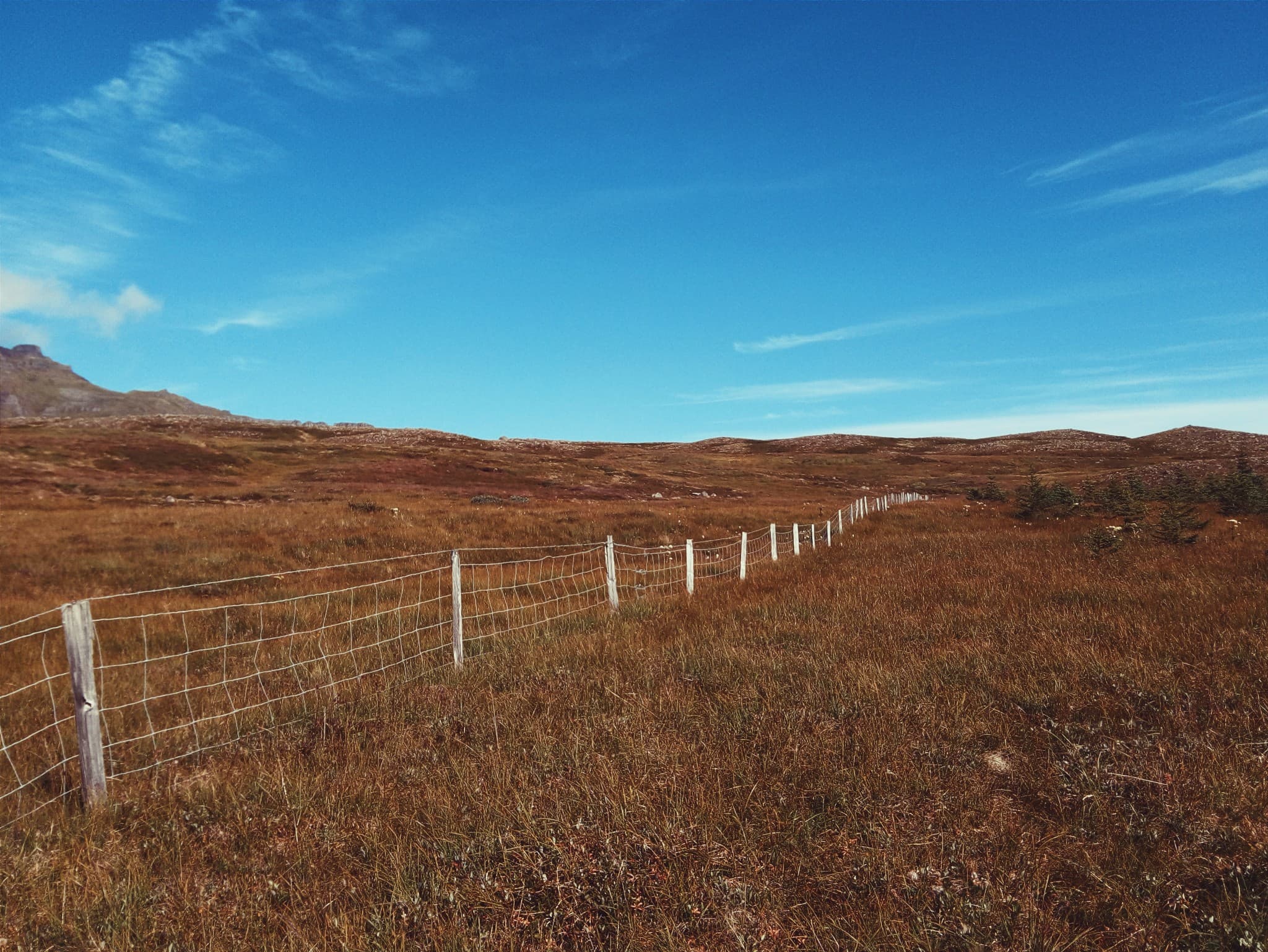 A wire fence stretches across a field of tall, brown grass under a bright blue sky with distant hills in the background.
