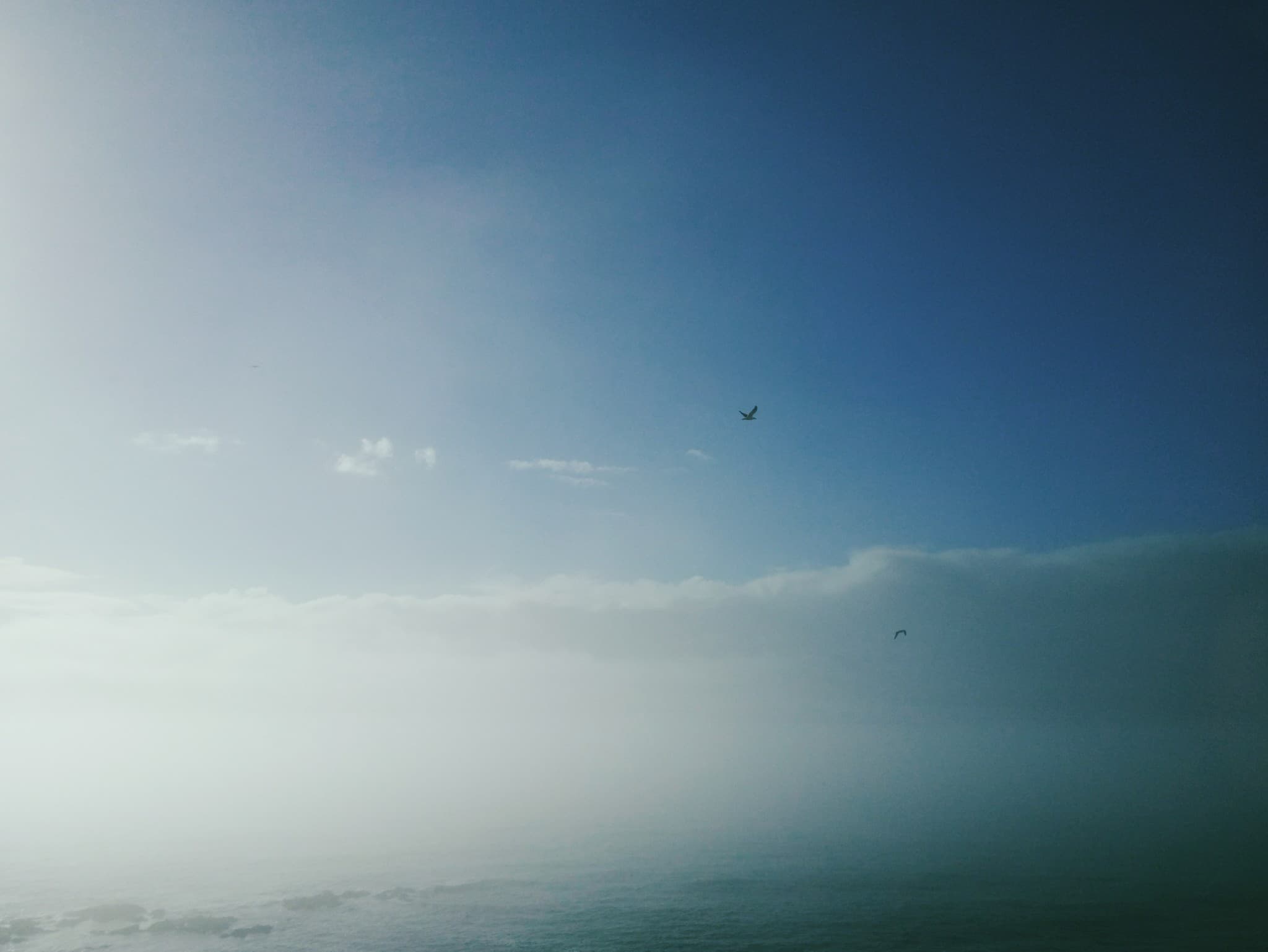 Two birds fly in a vast blue sky above a misty ocean horizon.