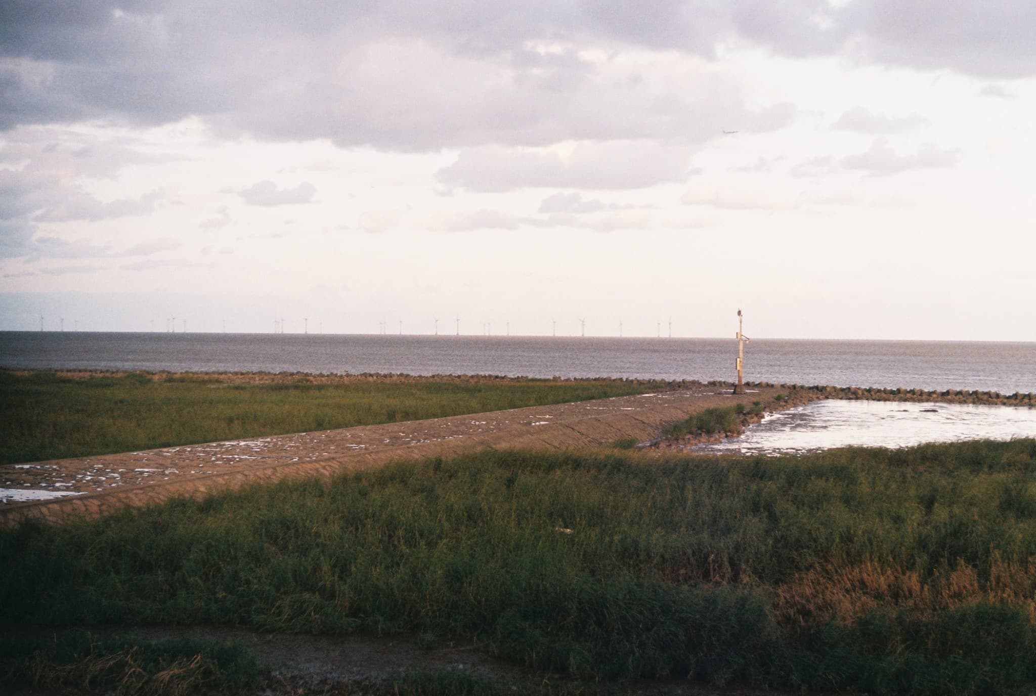 A grassy coastal embankment leads to a calm sea where distant wind turbines stand on the horizon under a cloudy sky.