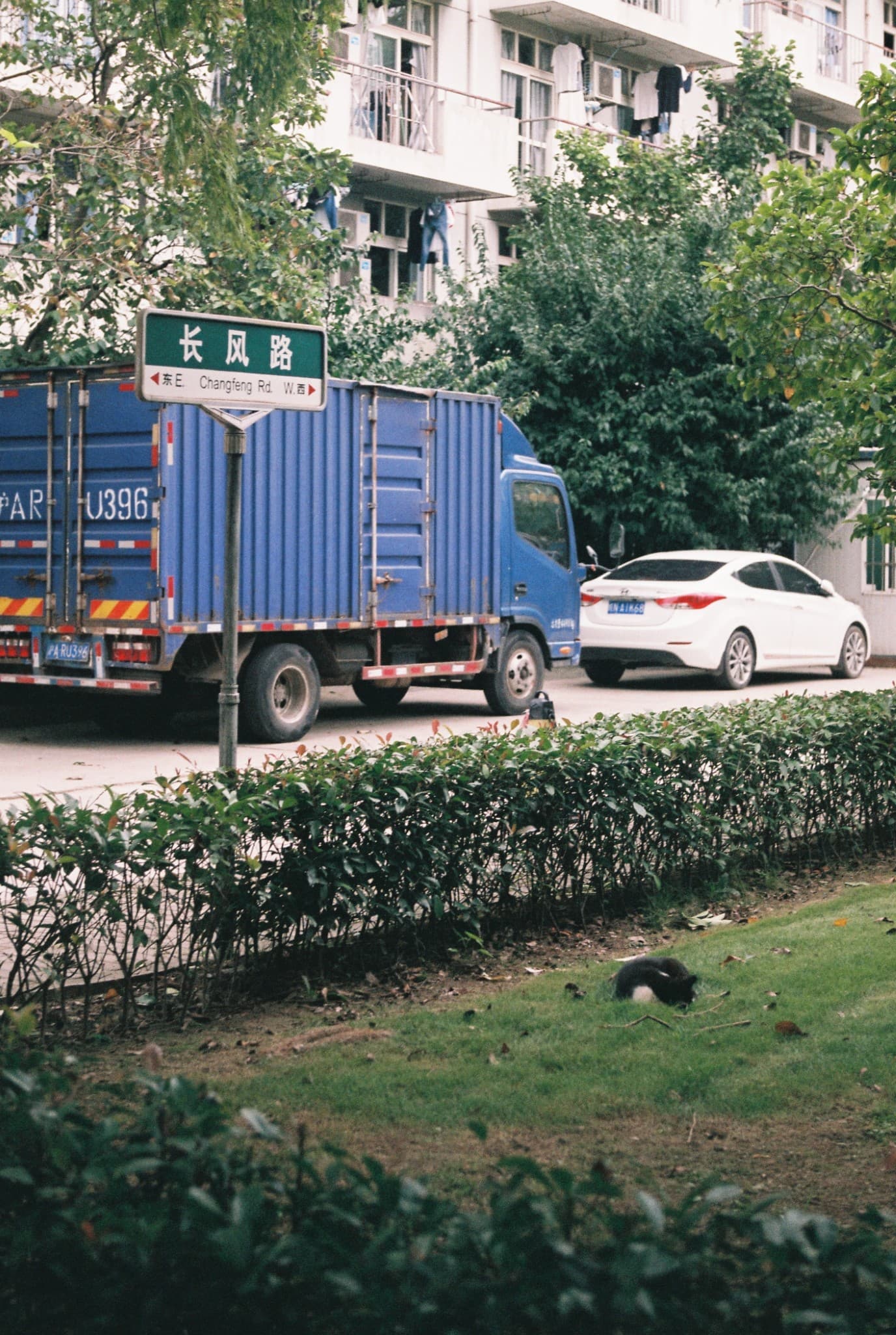 A blue cargo truck and a white sedan are on a street near a green street sign labeled Changfeng Rd, while a black cat rests on the grass in the foreground.