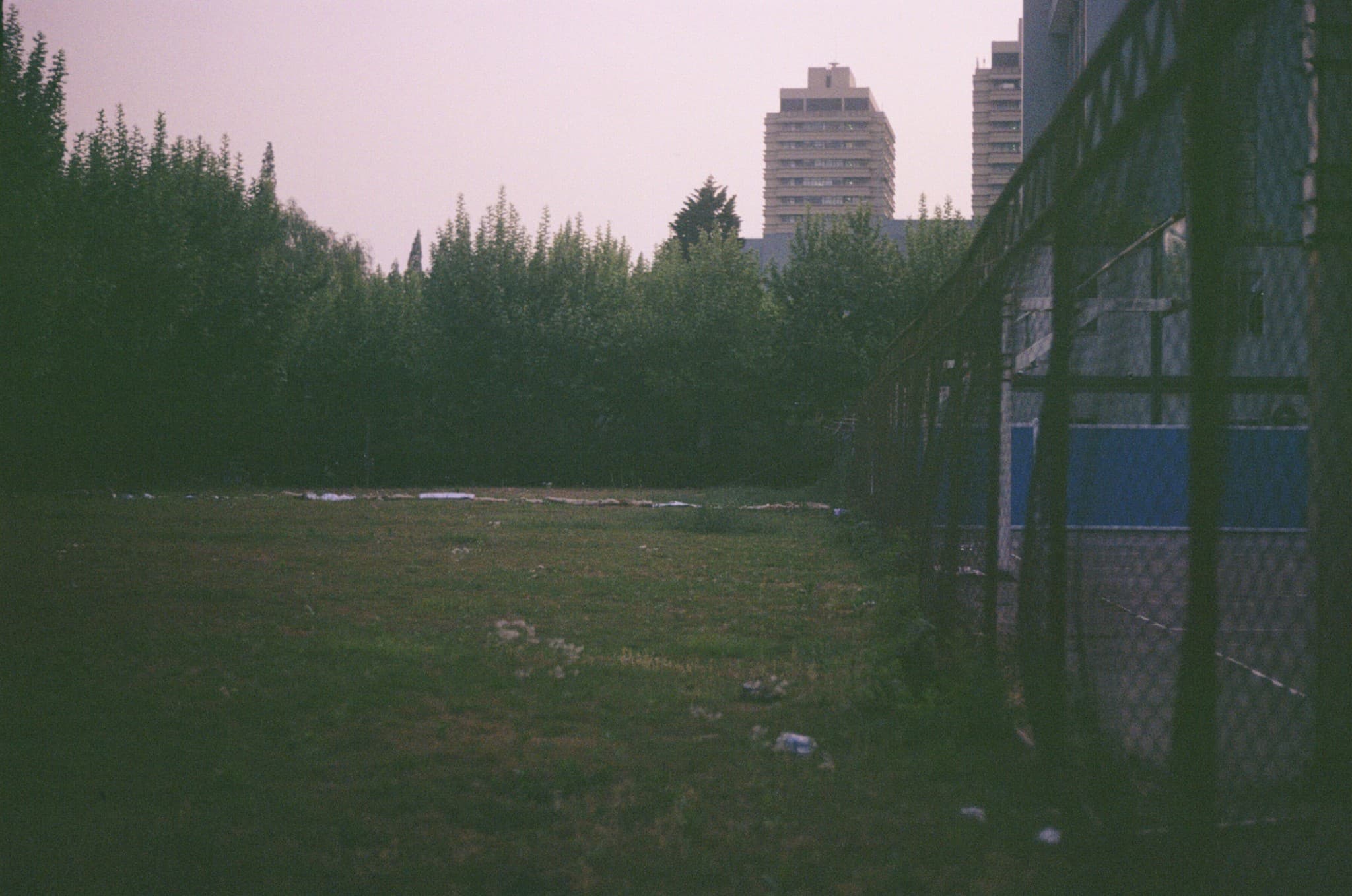 A grassy field bordered by a chain-link fence on the right, backed by a line of trees and tall buildings in the distance.
