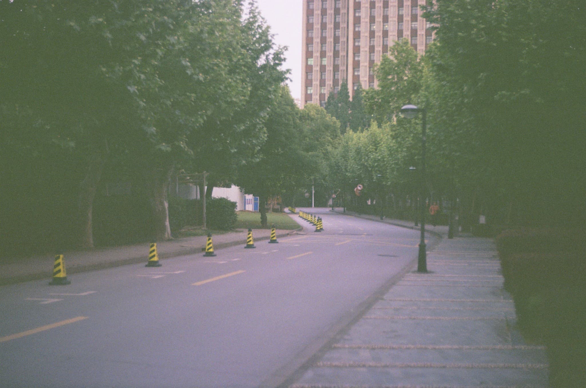 A paved road lined with green trees and yellow traffic cones on the left leads toward a tall building in the distance.