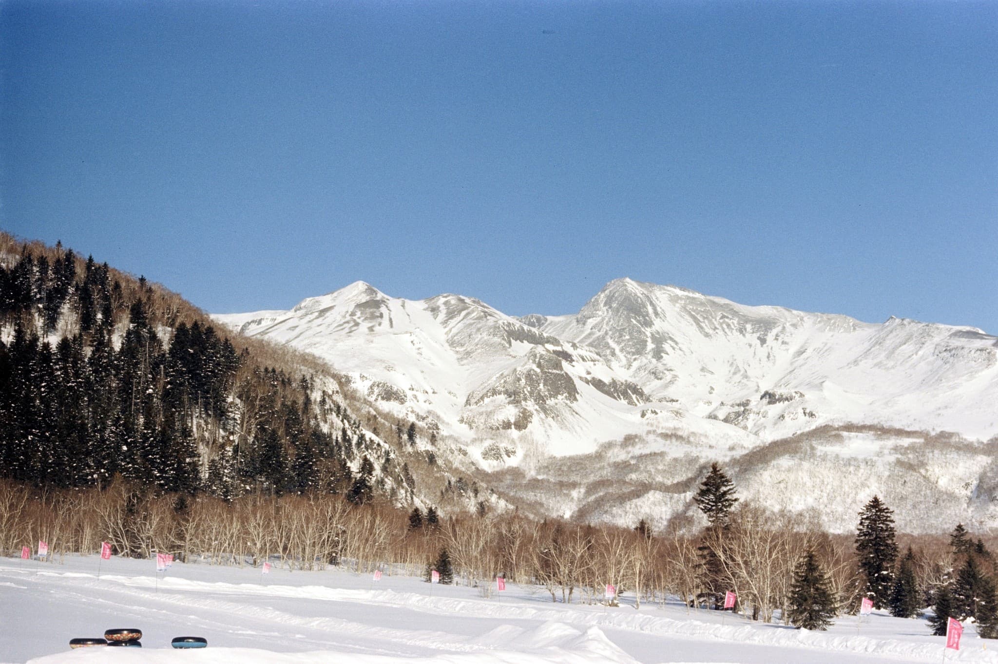 A large, snow-capped mountain range sits behind a forest of evergreen and bare trees, overlooking a snowy field with pink markers under a clear blue sky.
