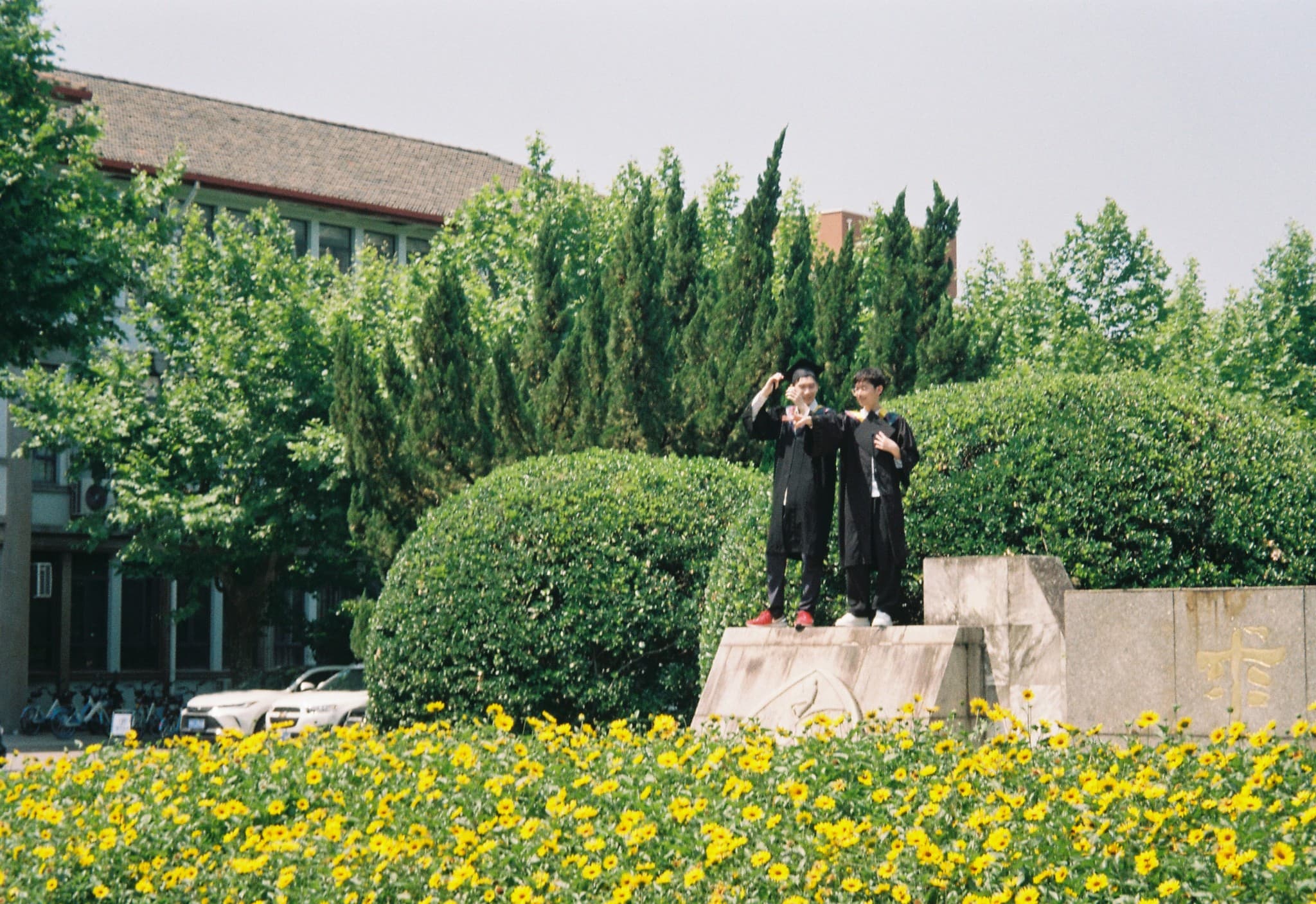 Two graduates in black gowns pose for a photo while standing atop a stone monument surrounded by green bushes and a field of yellow flowers.