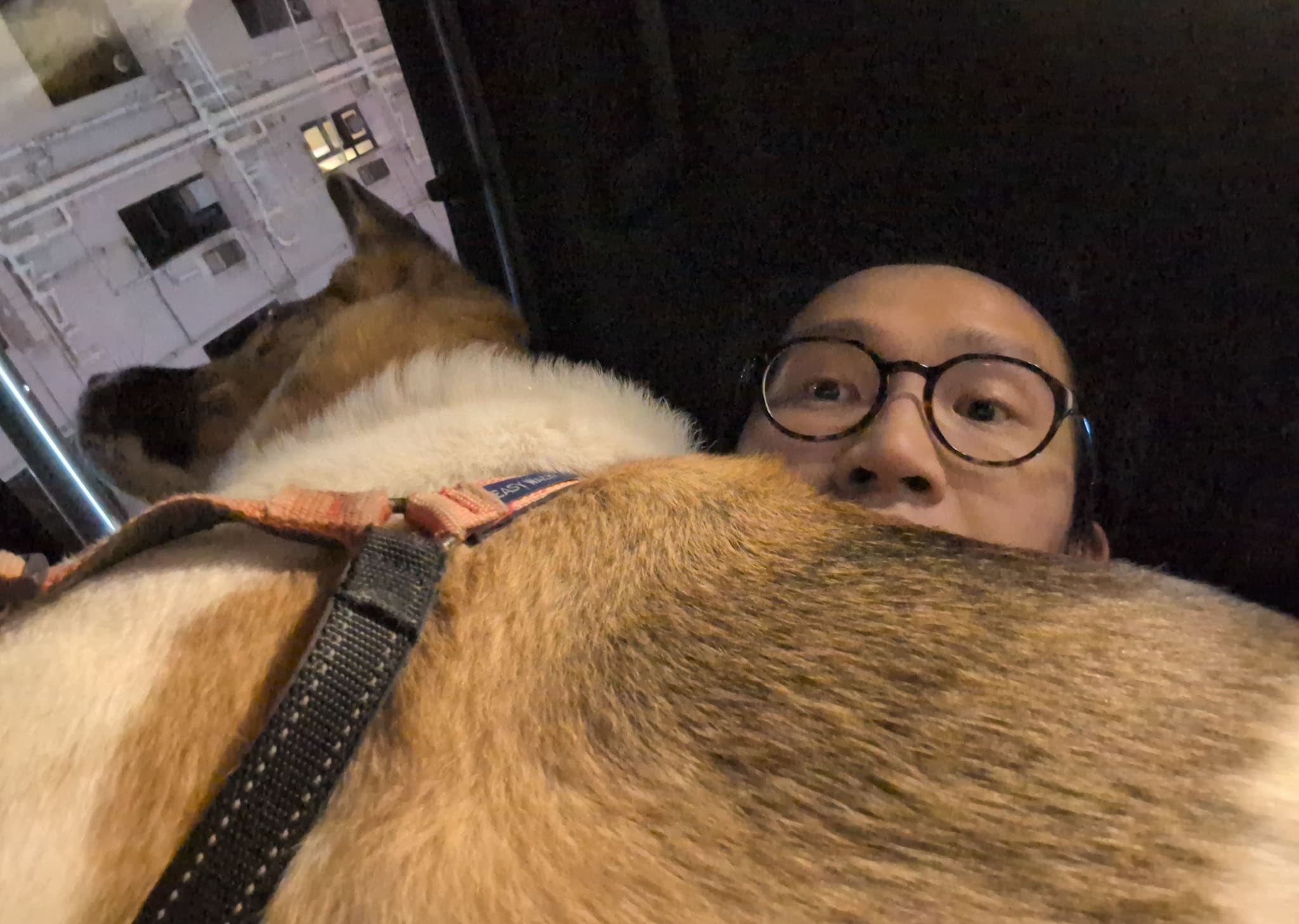 A man wearing round glasses peeks over the back of a brown and white dog that is positioned very close to the camera.