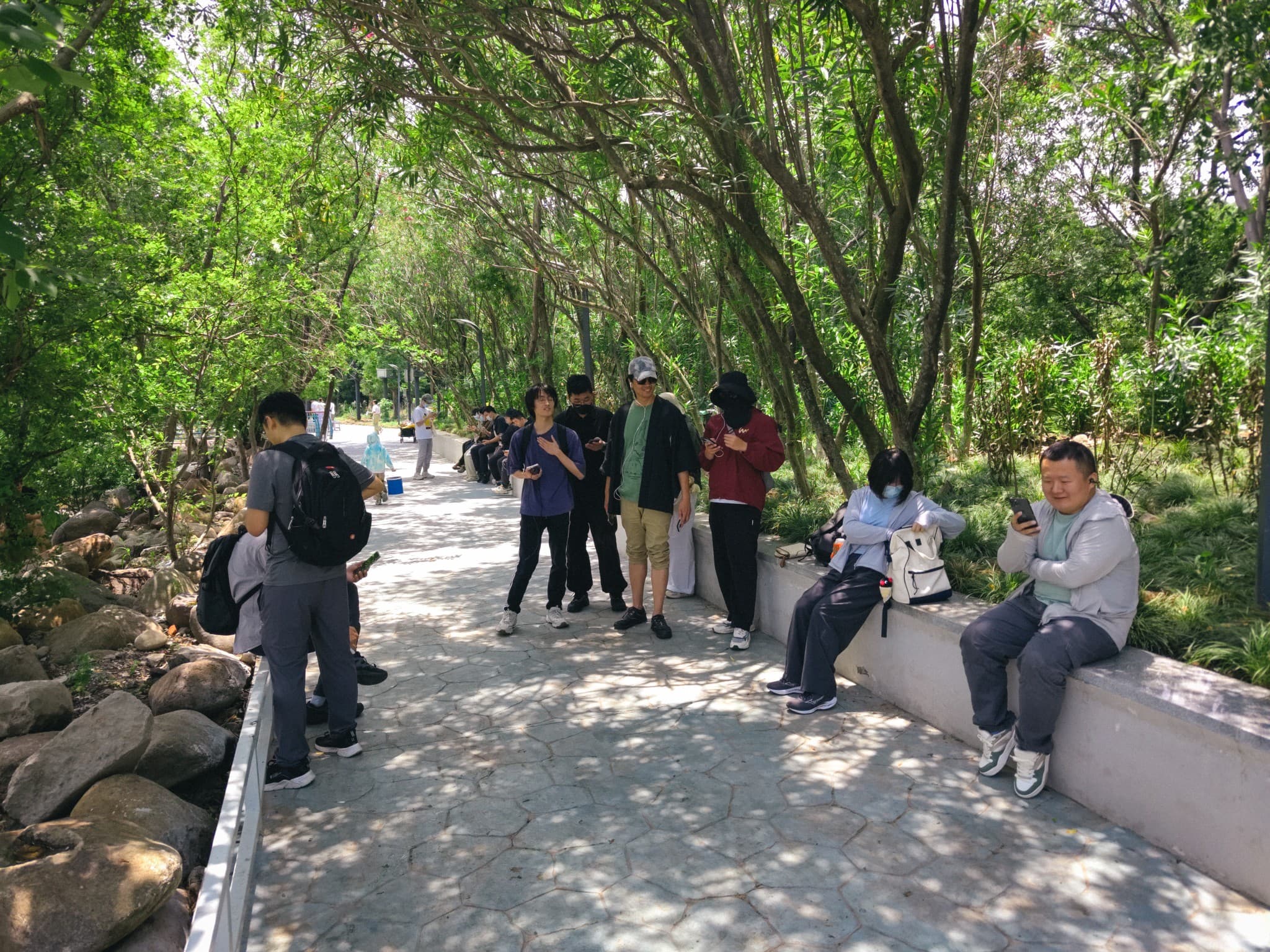 A group of people stand and sit along a paved walkway in a sunny, tree-lined park.